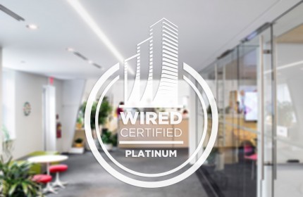 Wired Certification Sticker-White Translucent - USA